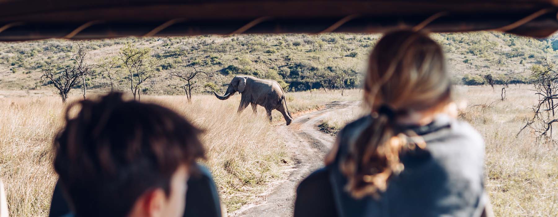 All our South Africa<br class="hidden-md hidden-lg" /> Big Five Safaris