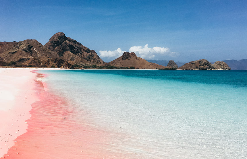 Pink sand beach on Komodo Island, Indonesia