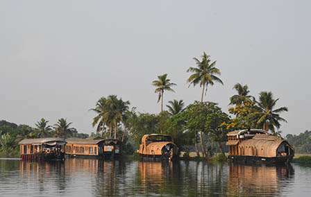 Our Favourite Things to Do in Kerala